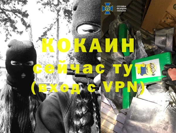 винт Няндома