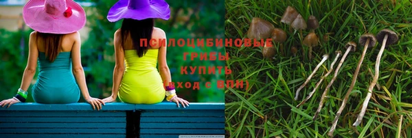 молекула духа Нягань