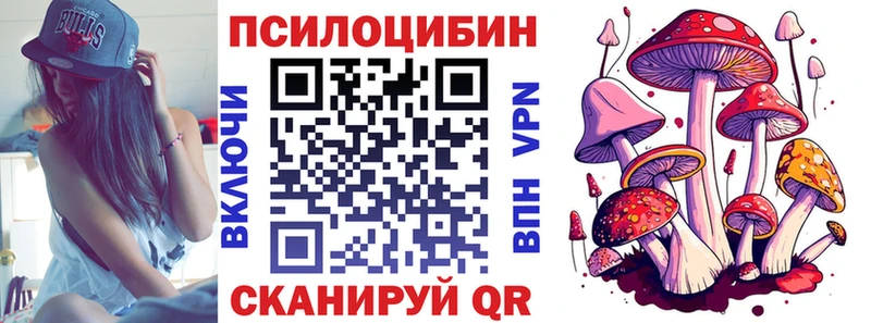 Псилоцибиновые грибы Magic Shrooms  Купить закладки  Северская 